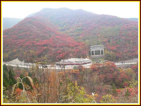 1498197144252725.jpg 法因數控